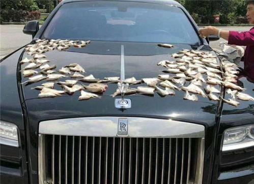 娱乐吃瓜酱大妈栏车,揭秘娱乐圈幕后风云